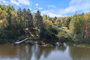 24392 S Long Lake Trail, Bigfork, MN 56628 - Photo 4