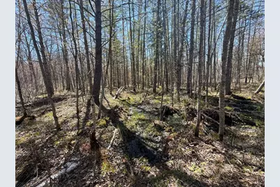 N10439 Tranus Lake Road, Springbrook, WI 54875 - Photo 22