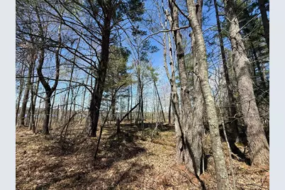 N10439 Tranus Lake Road, Springbrook, WI 54875 - Photo 24
