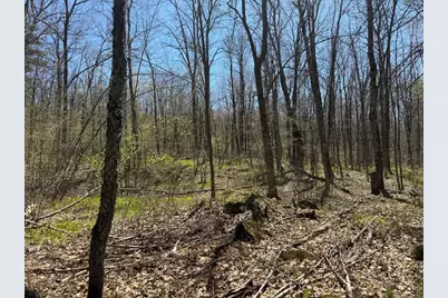 N10439 Tranus Lake Road, Springbrook, WI 54875 - Photo 34