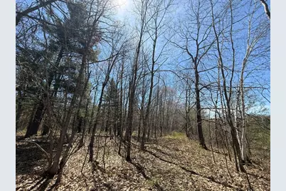 N10439 Tranus Lake Road, Springbrook, WI 54875 - Photo 28