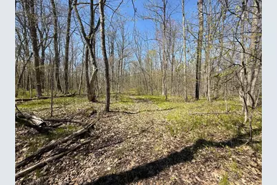 N10439 Tranus Lake Road, Springbrook, WI 54875 - Photo 8