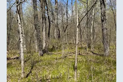 N10439 Tranus Lake Road, Springbrook, WI 54875 - Photo 16