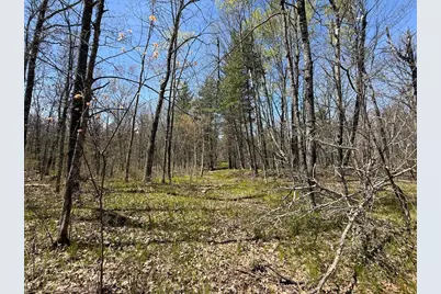 N10439 Tranus Lake Road, Springbrook, WI 54875 - Photo 18