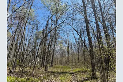 N10439 Tranus Lake Road, Springbrook, WI 54875 - Photo 36