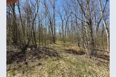 N10439 Tranus Lake Road, Springbrook, WI 54875 - Photo 6