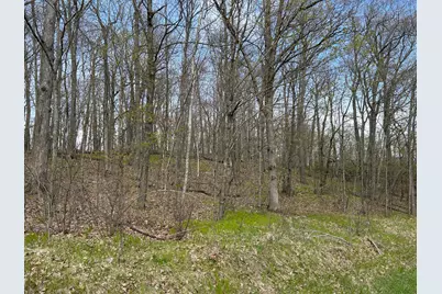 51Xx Banyan Drive, Garrison, MN 56450 - Photo 2