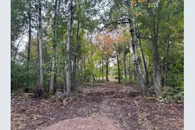 Tbd 250th Street, Aitkin, MN 56431 - Photo 2