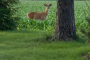 17162 Red Wing Blvd, Hastings, MN 55033 - Photo 70