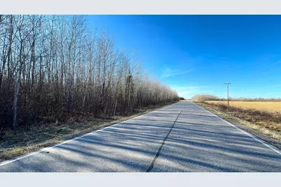 Lot A County Road 79, Littlefork, MN 56653 - Photo 14