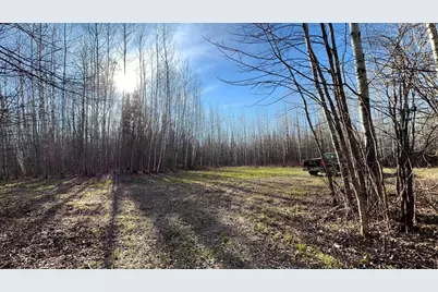 Lot A County Road 79, Littlefork, MN 56653 - Photo 28