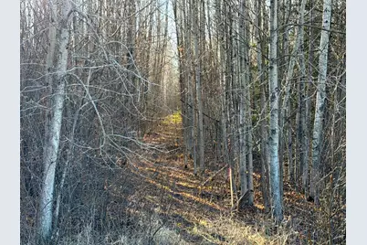 Lot A County Road 79, Littlefork, MN 56653 - Photo 24