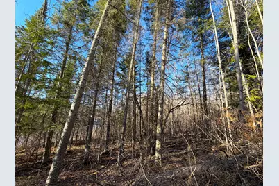 Lot A County Road 79, Littlefork, MN 56653 - Photo 32