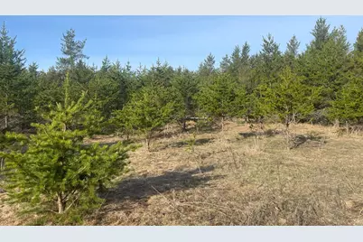 79327 Bonk Road, Willow River, MN 55795 - Photo 1