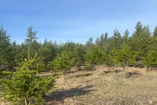 79327 Bonk Rd, Willow River, MN 55795 - Photo 1