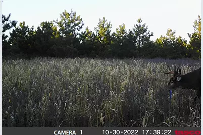 18310 150th Street, Park Rapids, MN 56470 - Photo 38
