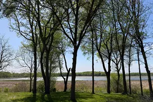 460 Knish Ct, Kilkenny, MN 56052 - Photo 40