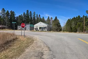 3293 Greaney Rd, Orr, MN 55771 - Photo 14