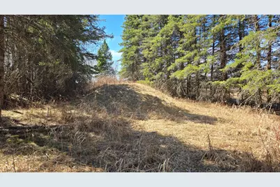 3293 Greaney Road, Orr, MN 55771 - Photo 10