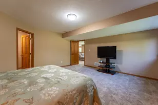 6217 321st St Way, Cannon Falls, MN 55009 - Photo 50