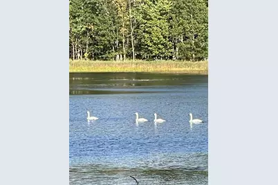 N3260 Starkey Lake Road, Shell Lake, WI 54871 - Photo 16