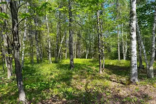 1505 Moorhead Rd, Cloquet, MN 55720 - Photo 22