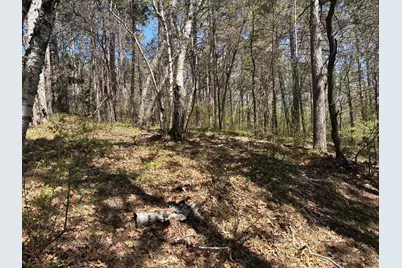 31Xxx Nordenstua Lane, Pequot Lakes, MN 56472 - Photo 14