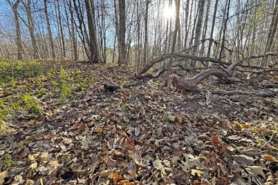 0000 Smoky Hills Trail, Osage Township, MN 56570 - Photo 52