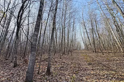0000 Smoky Hills Trail, Osage Township, MN 56570 - Photo 44
