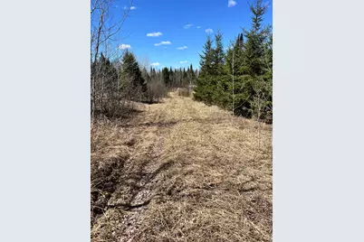 Tbd County Rd 553, Nashwauk, MN 55769 - Photo 8