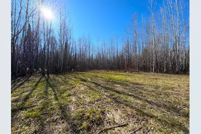 Lot C County Road 79, Littlefork, MN 56653 - Photo 4