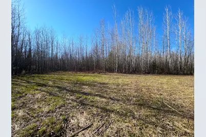 Lot C County Road 79, Littlefork, MN 56653 - Photo 16