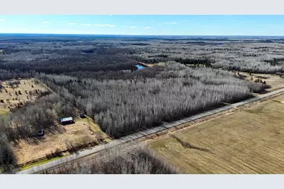 Lot C County Road 79, Littlefork, MN 56653 - Photo 6