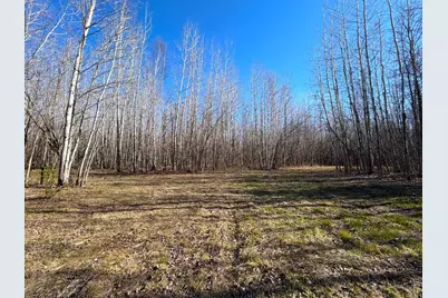 Lot E County Road 79, Littlefork, MN 56653 - Photo 20