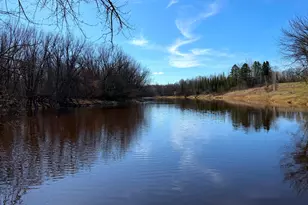 Lot E County Road 79, Littlefork, MN 56653 - Photo 1