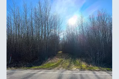 Lot F County Road 79, Littlefork, MN 56653 - Photo 40