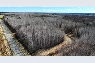 Lot F County Road 79, Littlefork, MN 56653 - Photo 8