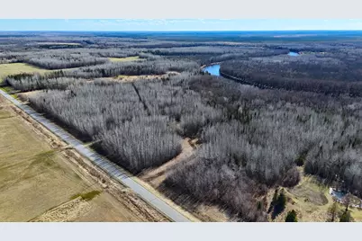 Lot F County Road 79, Littlefork, MN 56653 - Photo 4