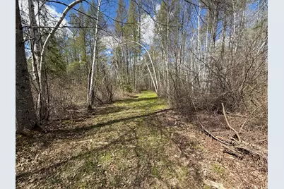 89225 Little Oak Lake Road, Kerrick, MN 55756 - Photo 10