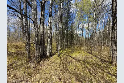 89225 Little Oak Lake Road, Kerrick, MN 55756 - Photo 34
