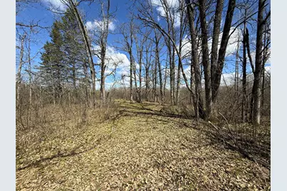 89225 Little Oak Lake Road, Kerrick, MN 55756 - Photo 20
