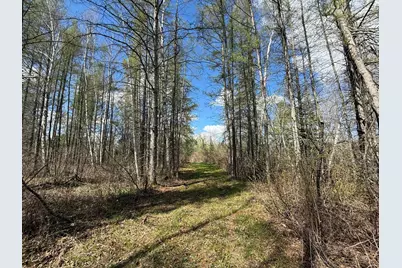 89225 Little Oak Lake Road, Kerrick, MN 55756 - Photo 12
