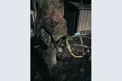 26904 Cedar Road, Cushing, MN 56443 - Photo 42