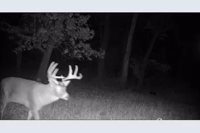 Tbd Bear Road, Cushing, MN 56443 - Photo 20