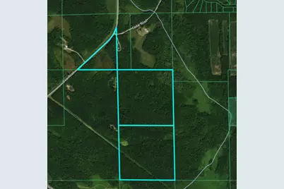 Tbd Bear Road, Cushing, MN 56443 - Photo 42