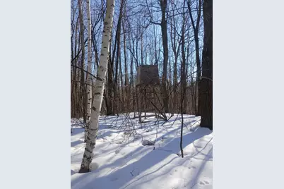 Tbd Bear Road, Cushing, MN 56443 - Photo 26