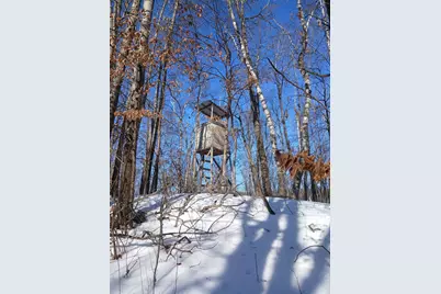 Tbd Bear Road, Cushing, MN 56443 - Photo 10