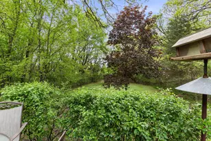 17187 166th St SE, Big Lake, MN 55309 - Photo 62