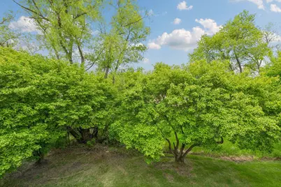 464 Meadow Lane, Norwood Young America, MN 55397 - Photo 30