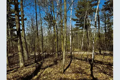 Tbd Rognaldson Road, Brainerd, MN 56401 - Photo 16